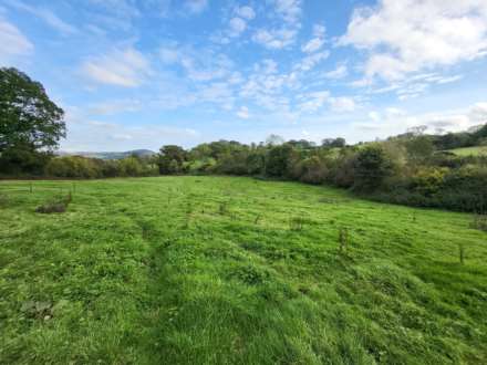 Holyford Lane, Colyford, Colyton, Image 20