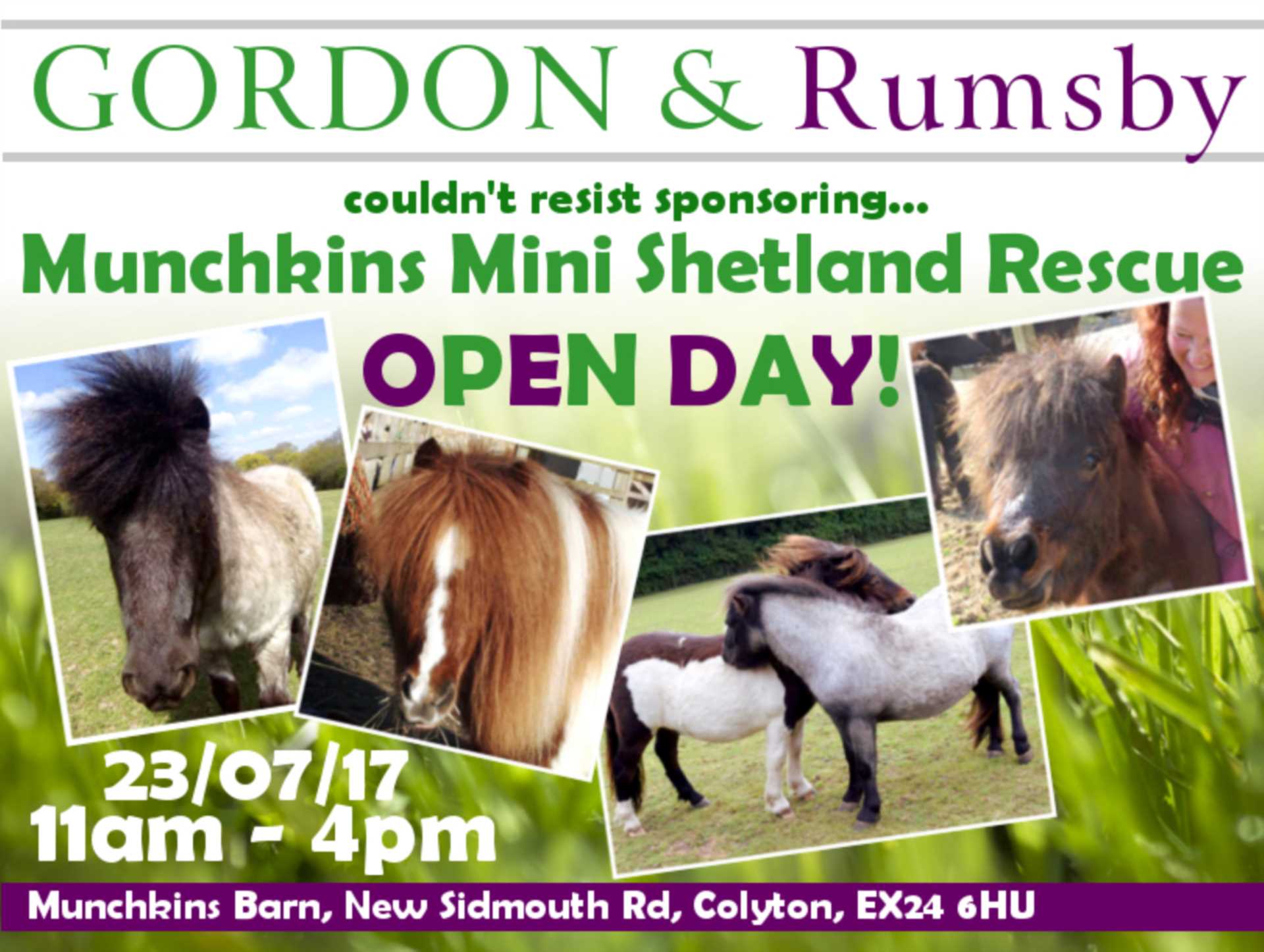 Munchkins Mini Shetland Rescue Open Day!