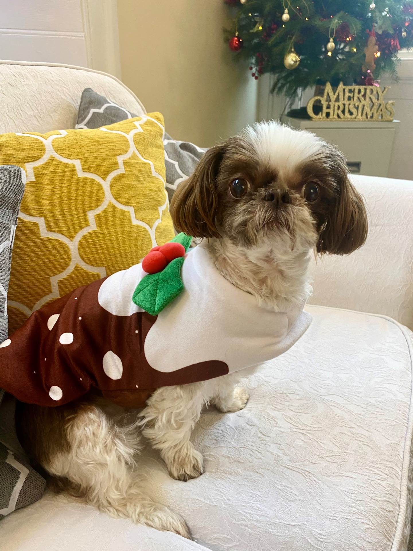 Feeling Festive