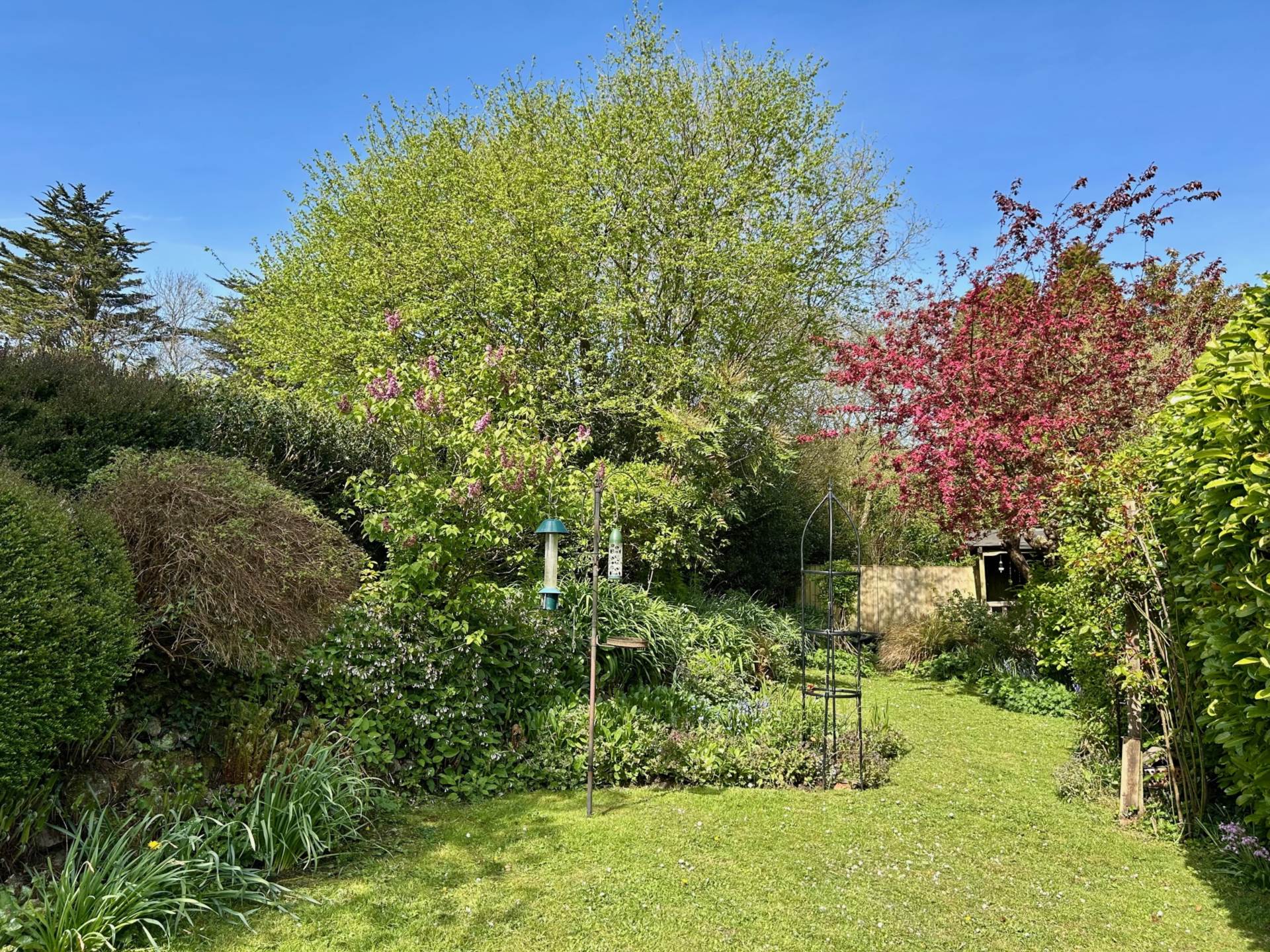Chard Street, Thorncombe, Dorset, Image 18