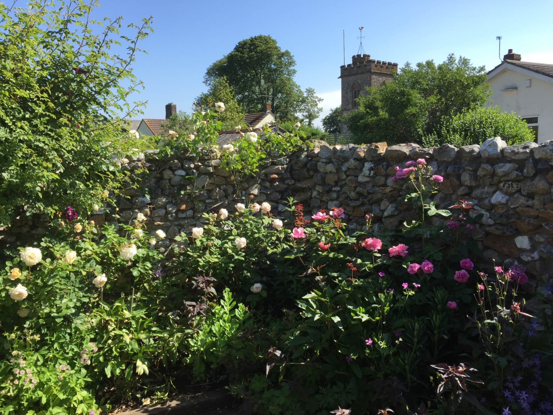 Chard Street, Thorncombe, Dorset, Image 23