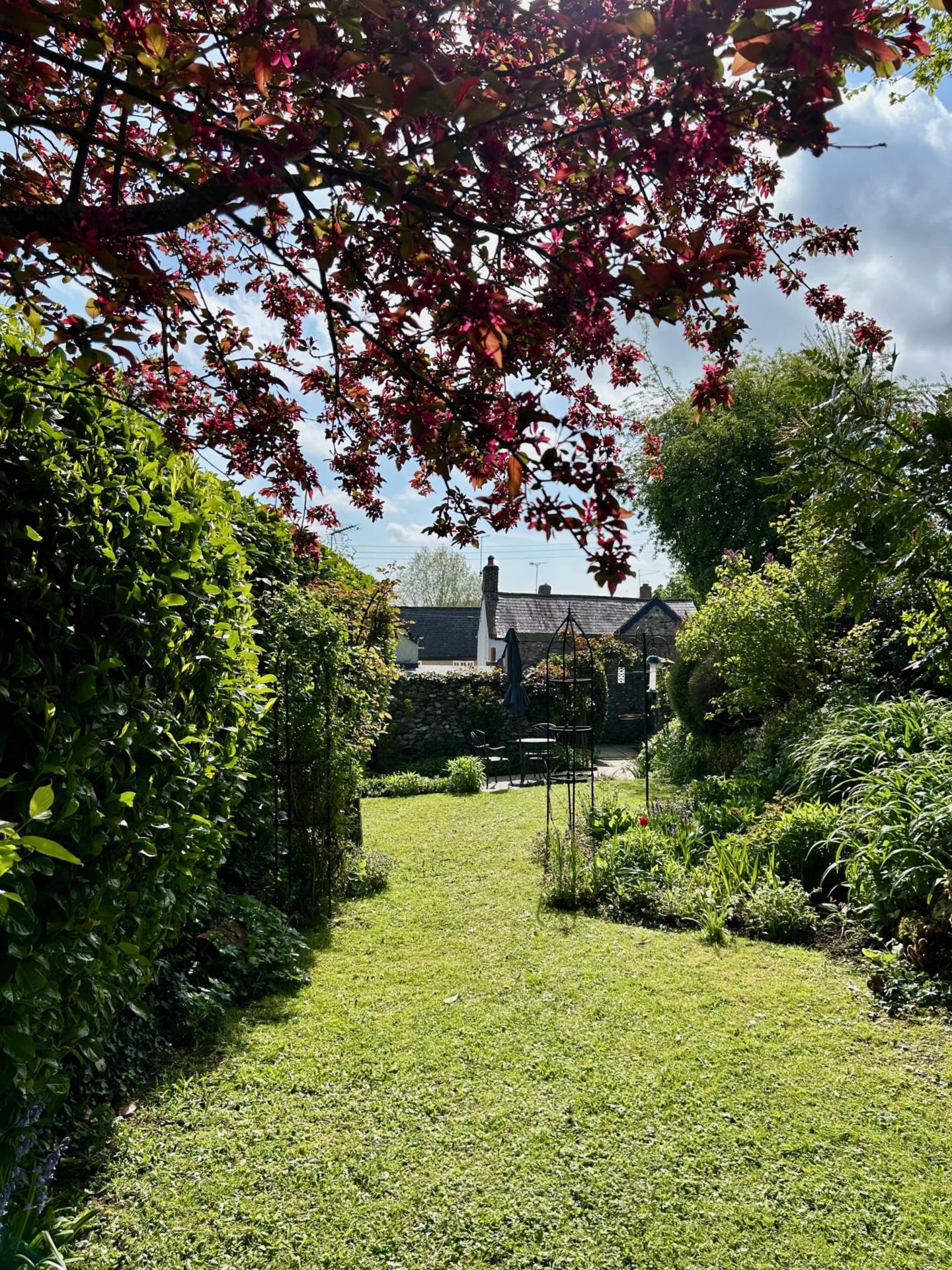 Chard Street, Thorncombe, Dorset, Image 24