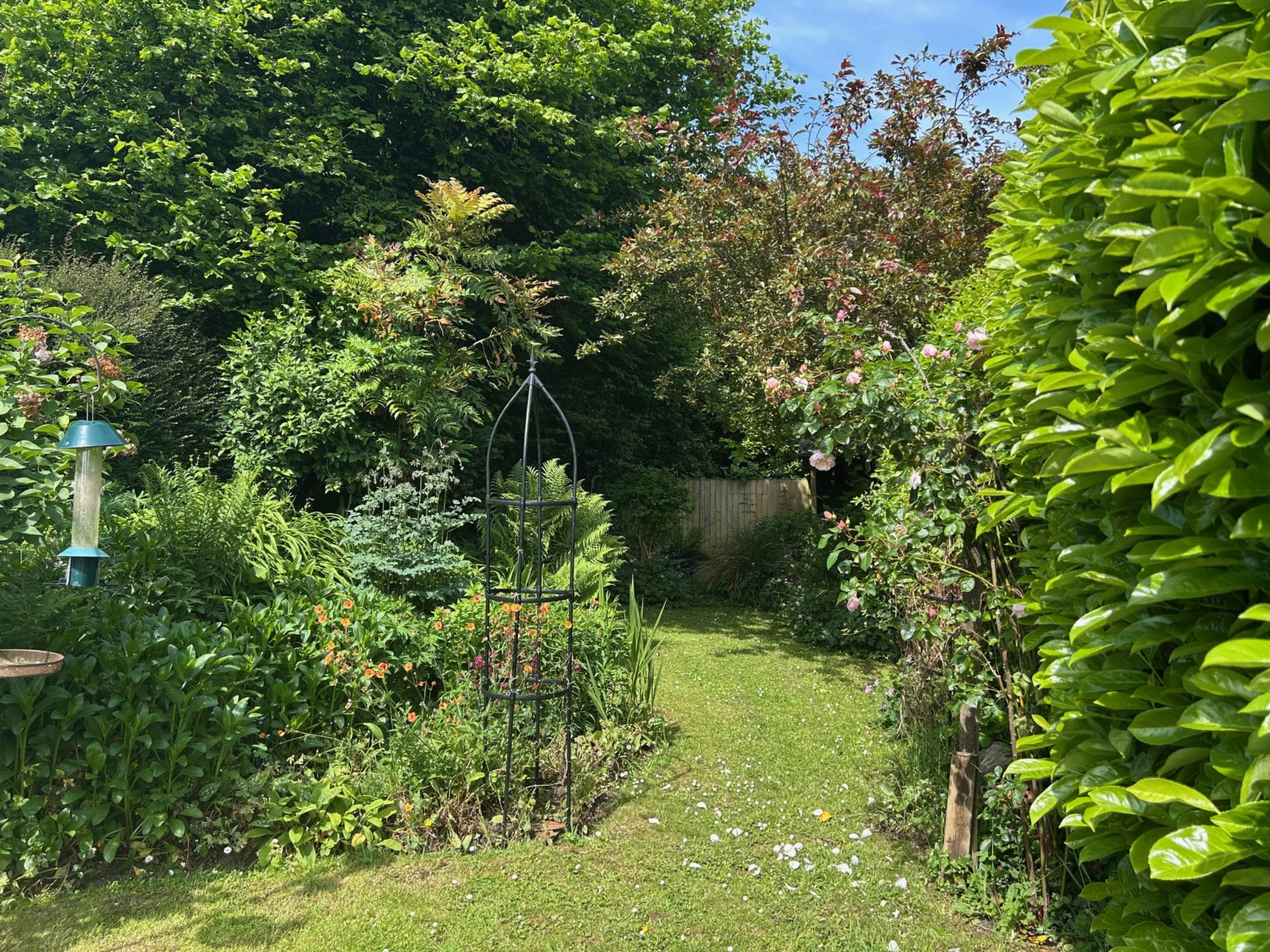 Chard Street, Thorncombe, Dorset, Image 25