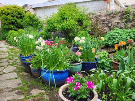 Chard Street, Thorncombe, Dorset, Image 17