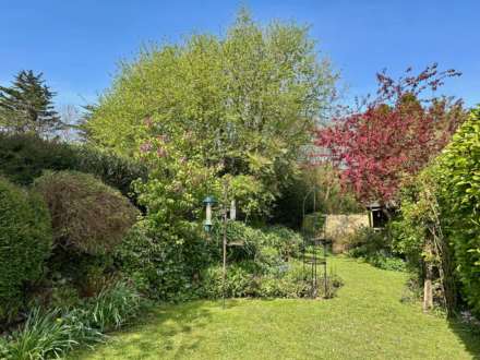 Chard Street, Thorncombe, Dorset, Image 18