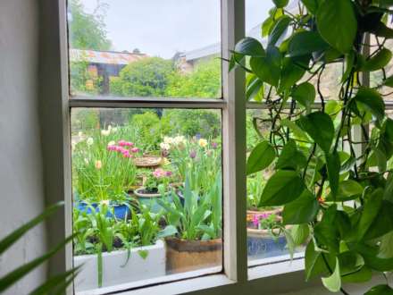 Chard Street, Thorncombe, Dorset, Image 6