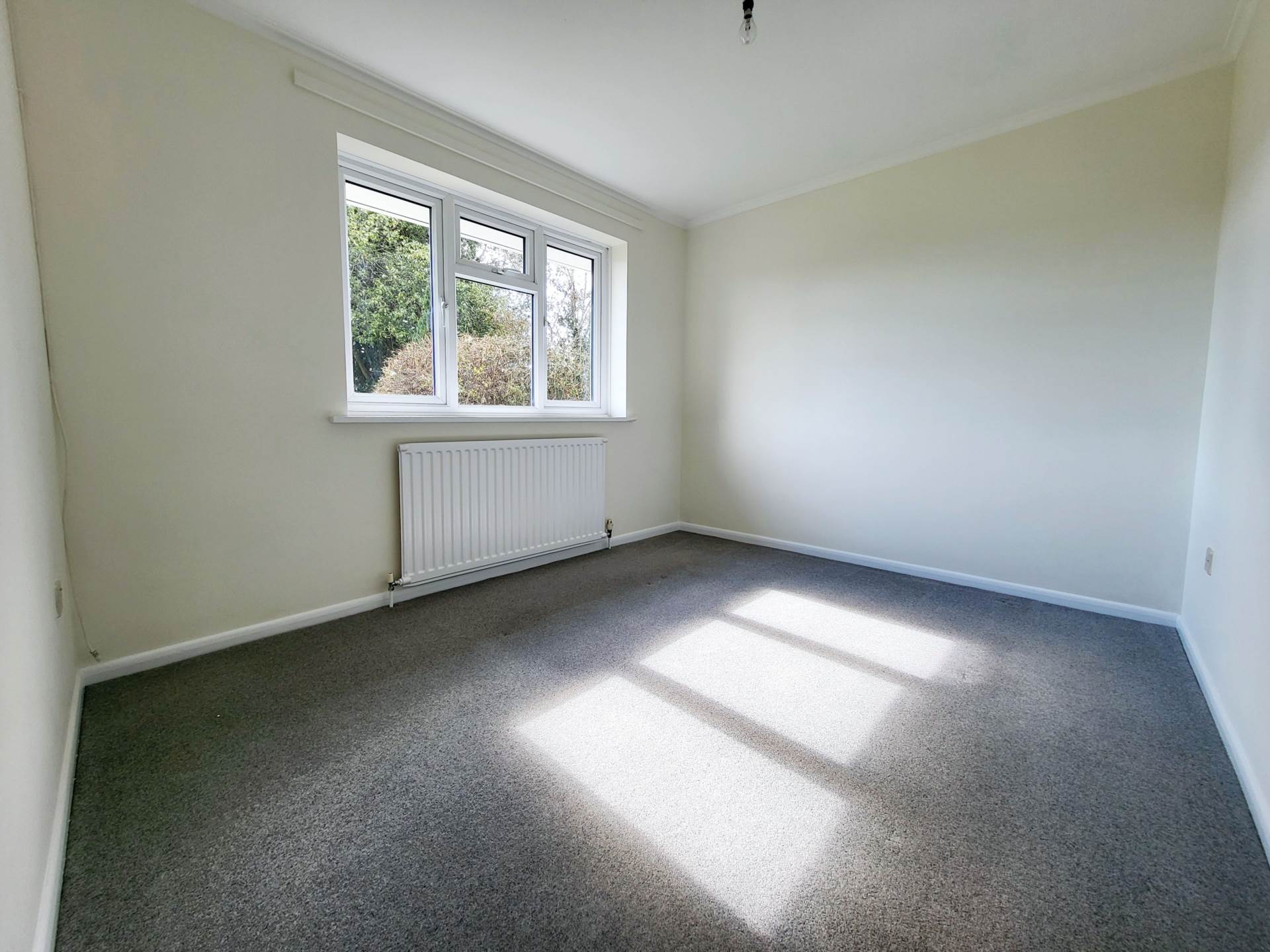 Springfields, Colyton. Devon, Image 9