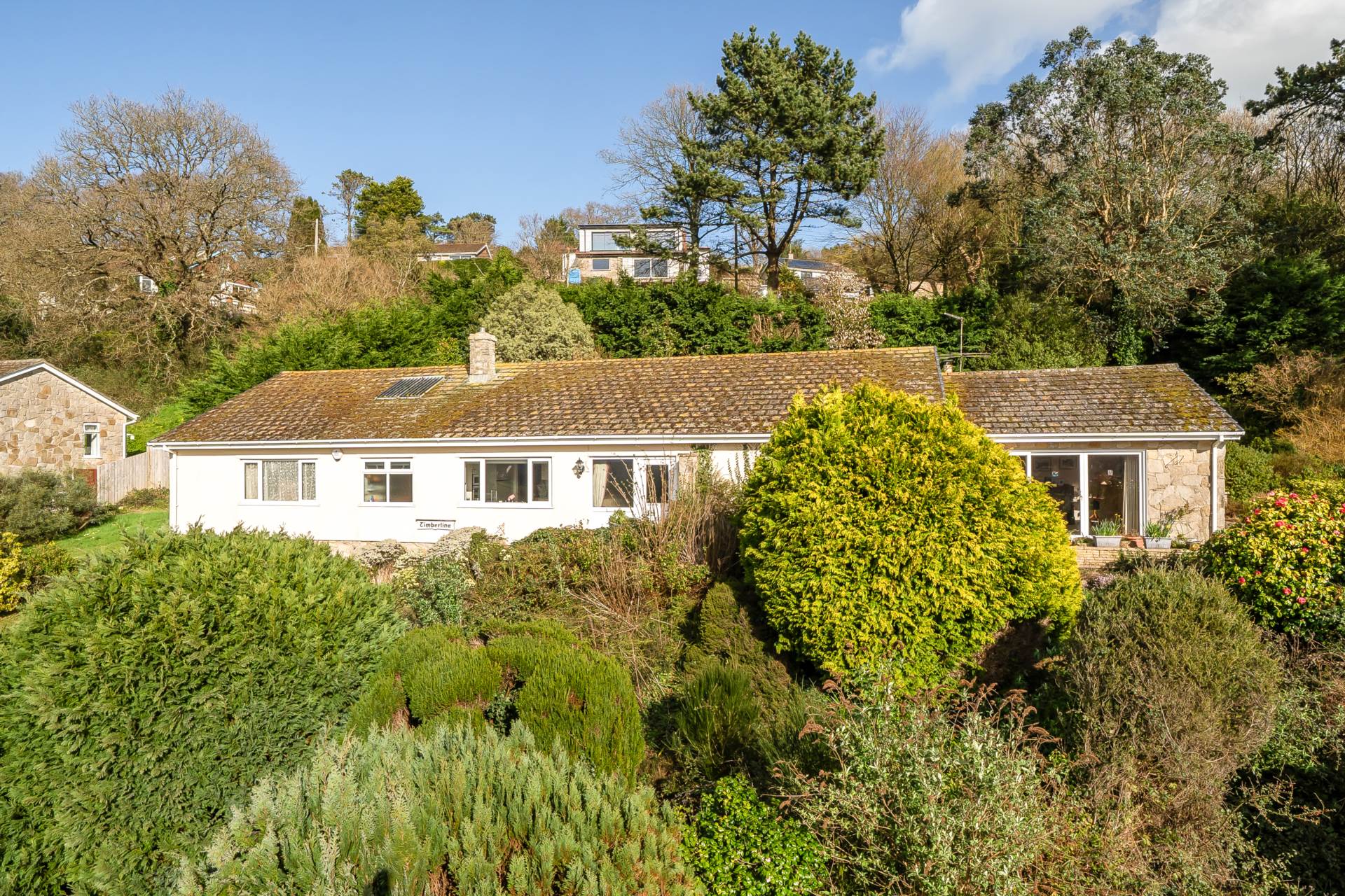 Dragon's Hill, Lyme Regis, Dorset, Image 19