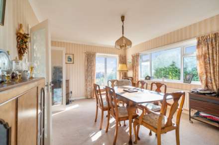 Dragon's Hill, Lyme Regis, Dorset, Image 11