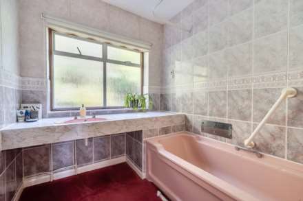 Dragon's Hill, Lyme Regis, Dorset, Image 17