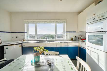 Dragon's Hill, Lyme Regis, Dorset, Image 7