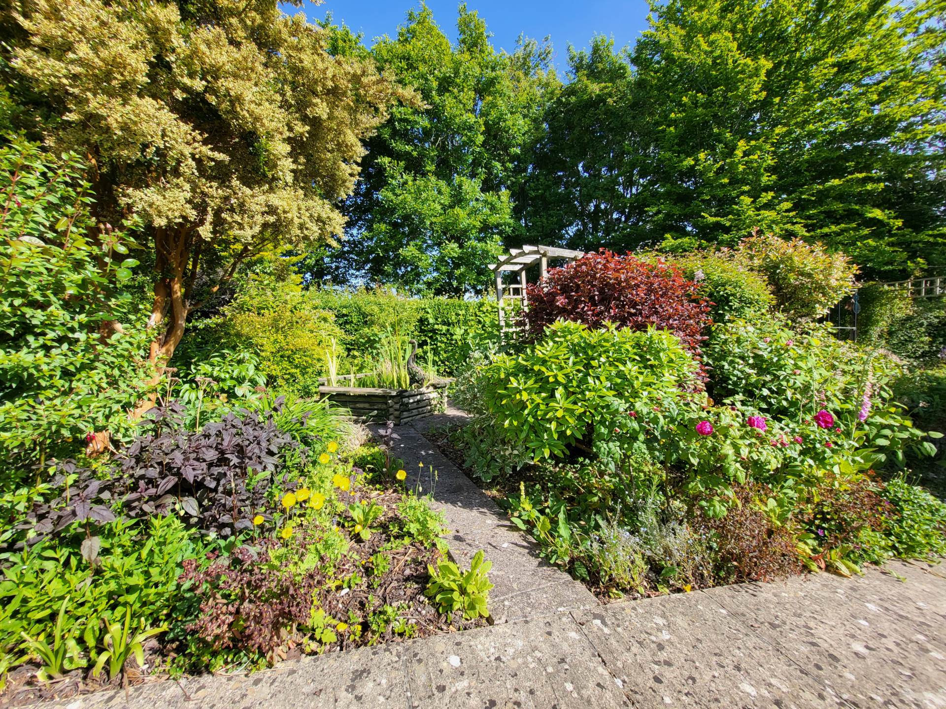 Tansee Hill, Thorncombe, Dorset, Image 18