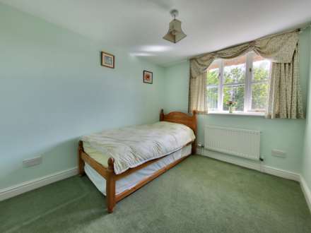 Tansee Hill, Thorncombe, Dorset, Image 14