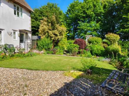 Tansee Hill, Thorncombe, Dorset, Image 17