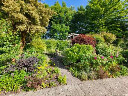 Tansee Hill, Thorncombe, Dorset, Image 18