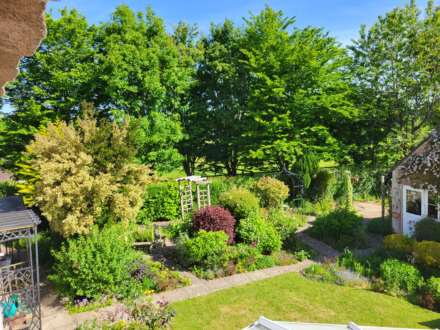 Tansee Hill, Thorncombe, Dorset, Image 2