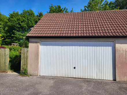 Tansee Hill, Thorncombe, Dorset, Image 20