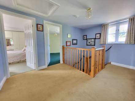 Tansee Hill, Thorncombe, Dorset, Image 9