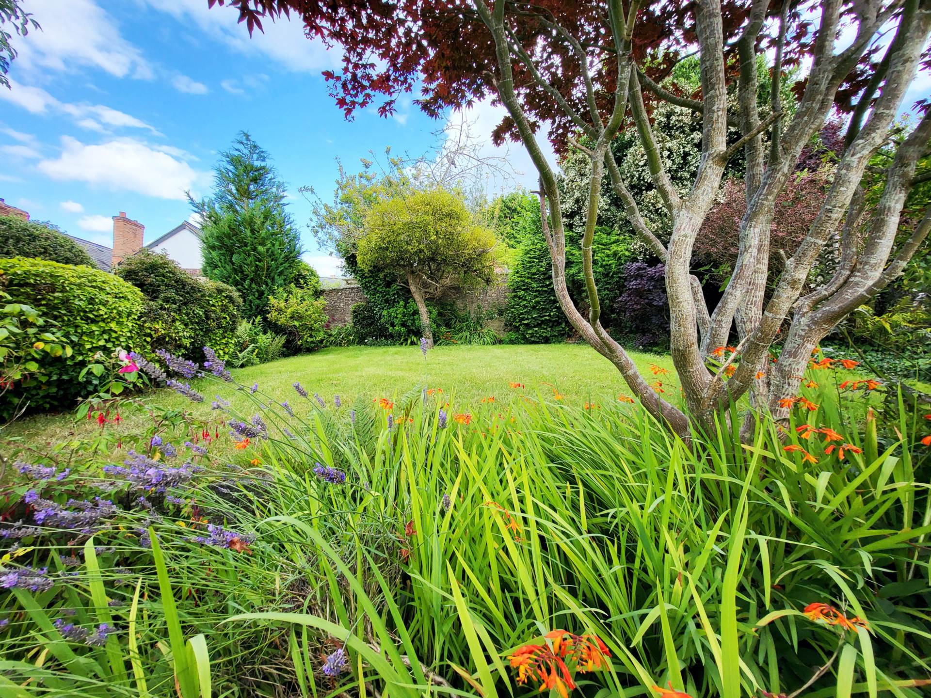 Queens Square, Colyton, Devon, Image 2