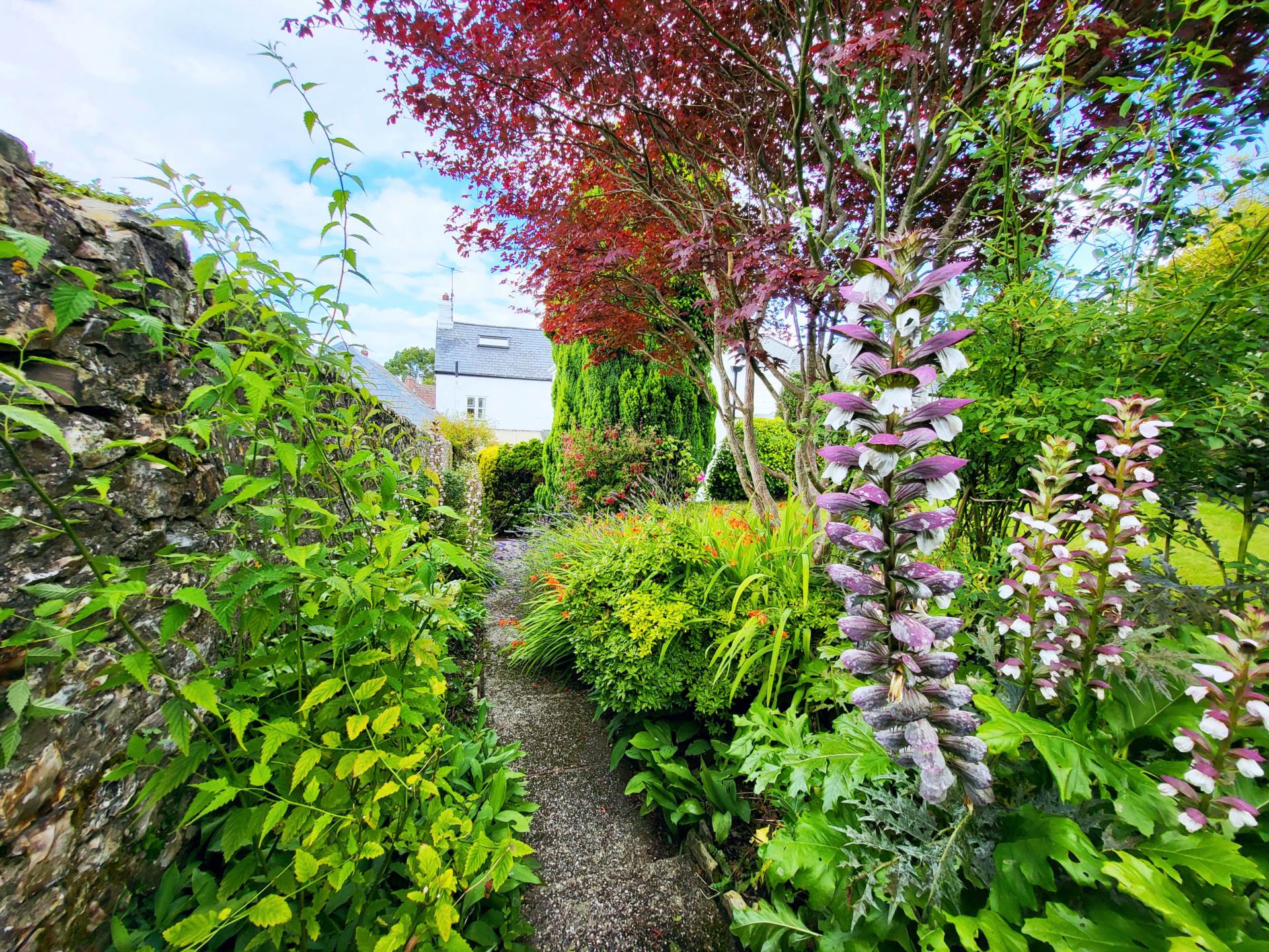 Queens Square, Colyton, Devon, Image 26