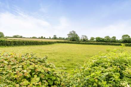 Moonlit Lodge, Chardstock, Devon, Image 19