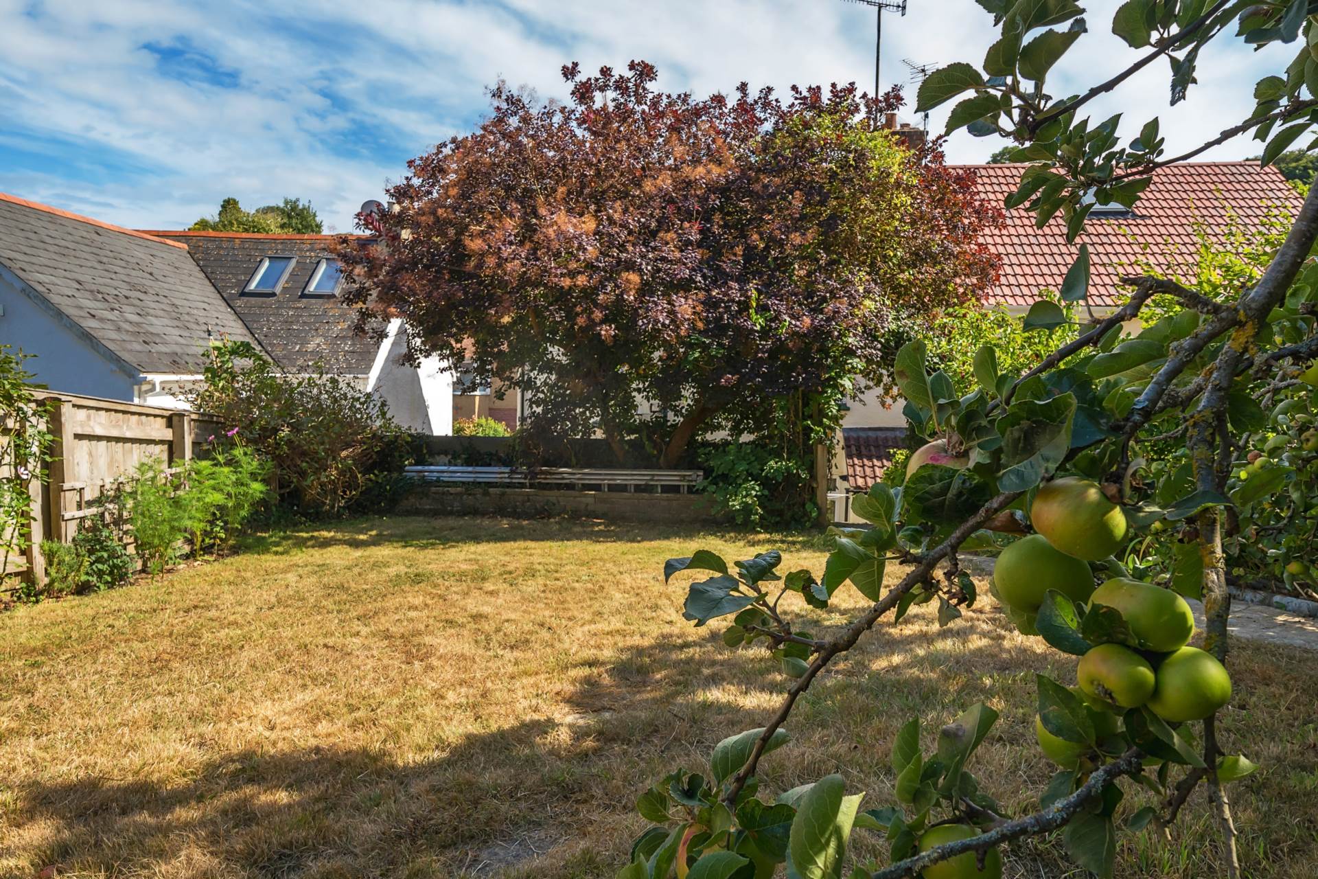 Clapps Lane, Beer, Devon, Image 4