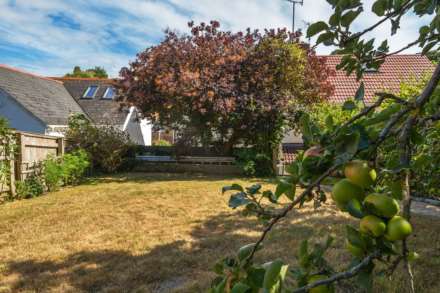 Clapps Lane, Beer, Devon, Image 4