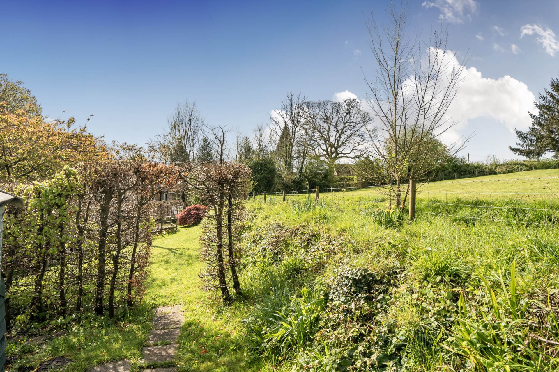 Court Street, Winsham, Somerset, Image 26