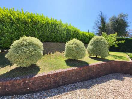 Crewkerne Road, Raymond's Hill, Axminster, Image 20
