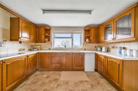 Crewkerne Road, Raymond's Hill, Axminster, Image 9