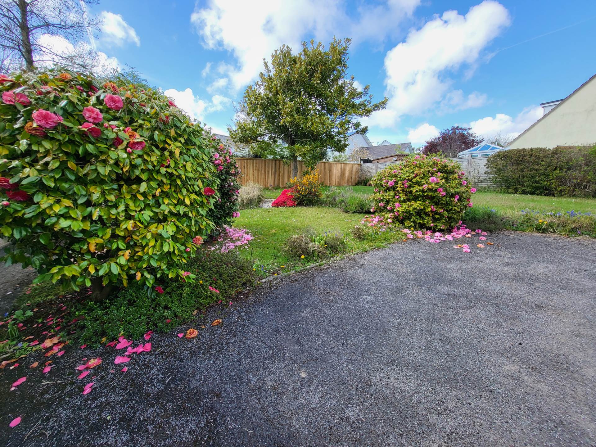 Elmwood Gardens, Colyton, Devon, Image 14