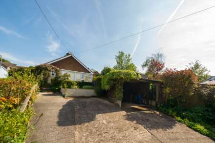 The Butts, Colyton, Devon, Image 1
