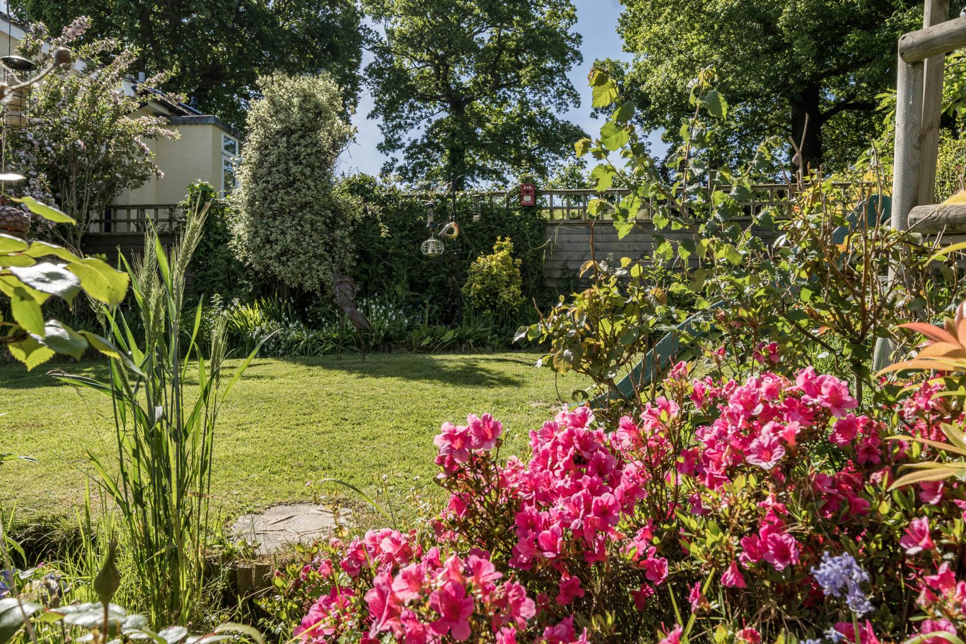 Burnards Field Rd, Colyton, Devon, Image 27