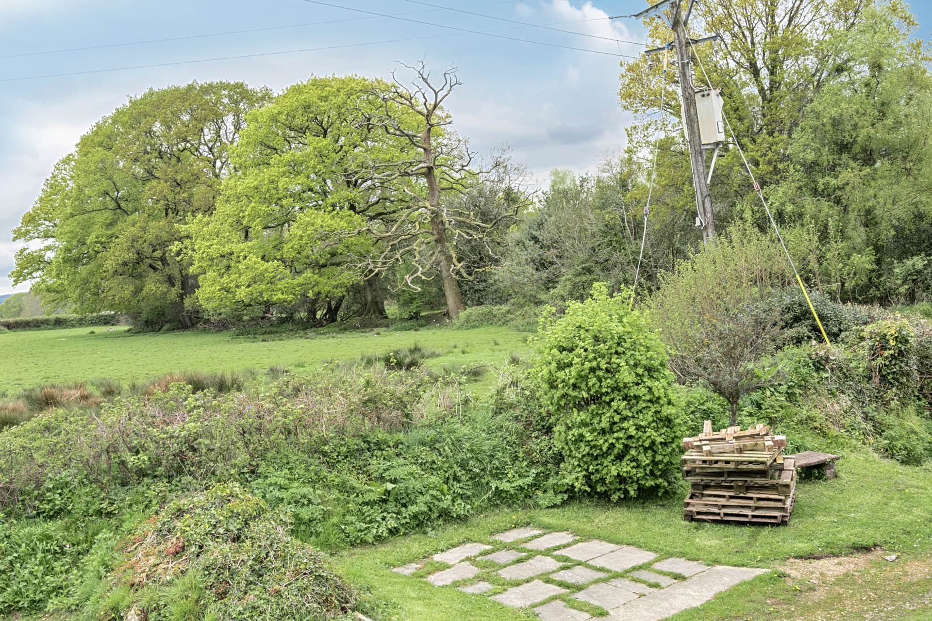 Hewood, Thorncombe, Dorset, Image 18