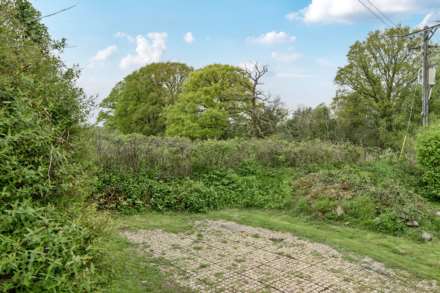Hewood, Thorncombe, Dorset, Image 17