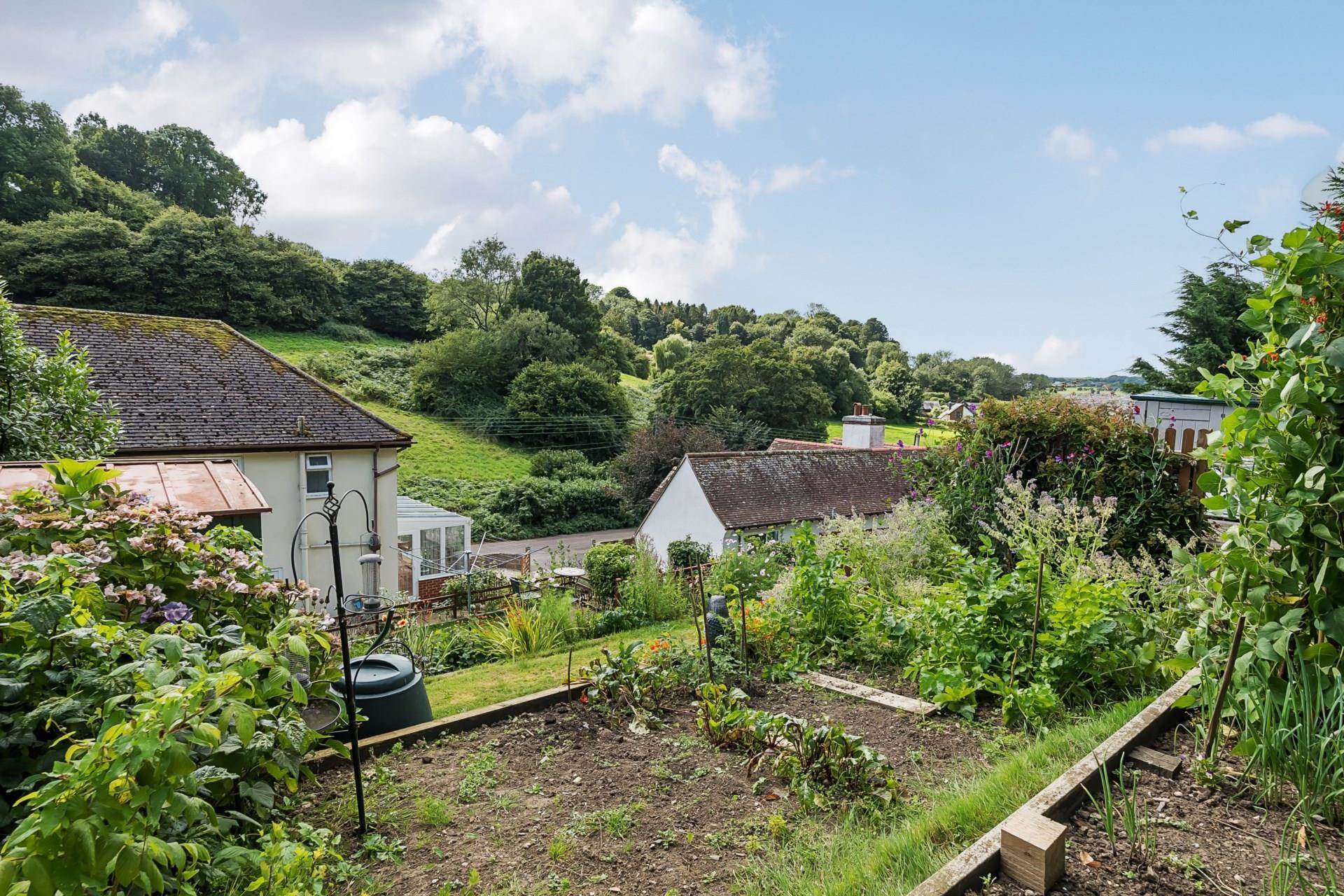 Coombe Orchard, Seaton, Image 17