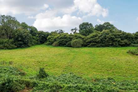 Coombe Orchard, Seaton, Image 16
