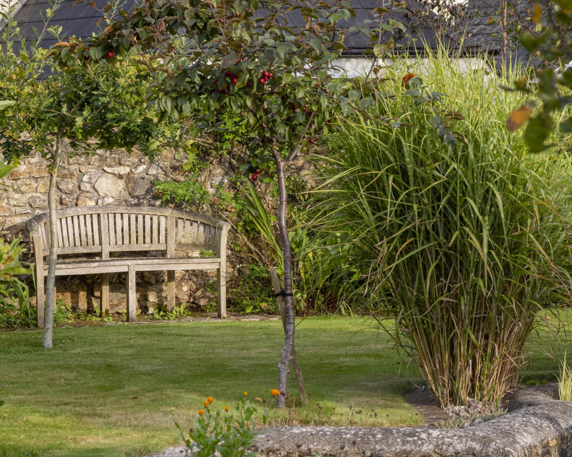 Farway, Devon, Image 25