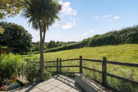 Willhayne, Colyton, Devon, Image 20