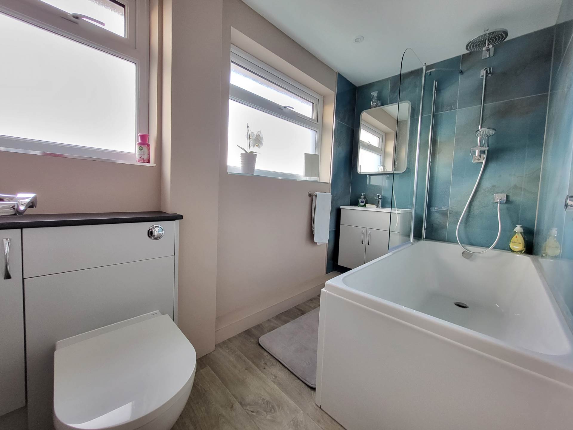Ellesdon, Charmouth, Dorset, Image 11
