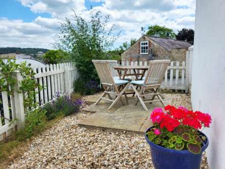 Old Lyme Hill, Charmouth, Dorset, Image 18
