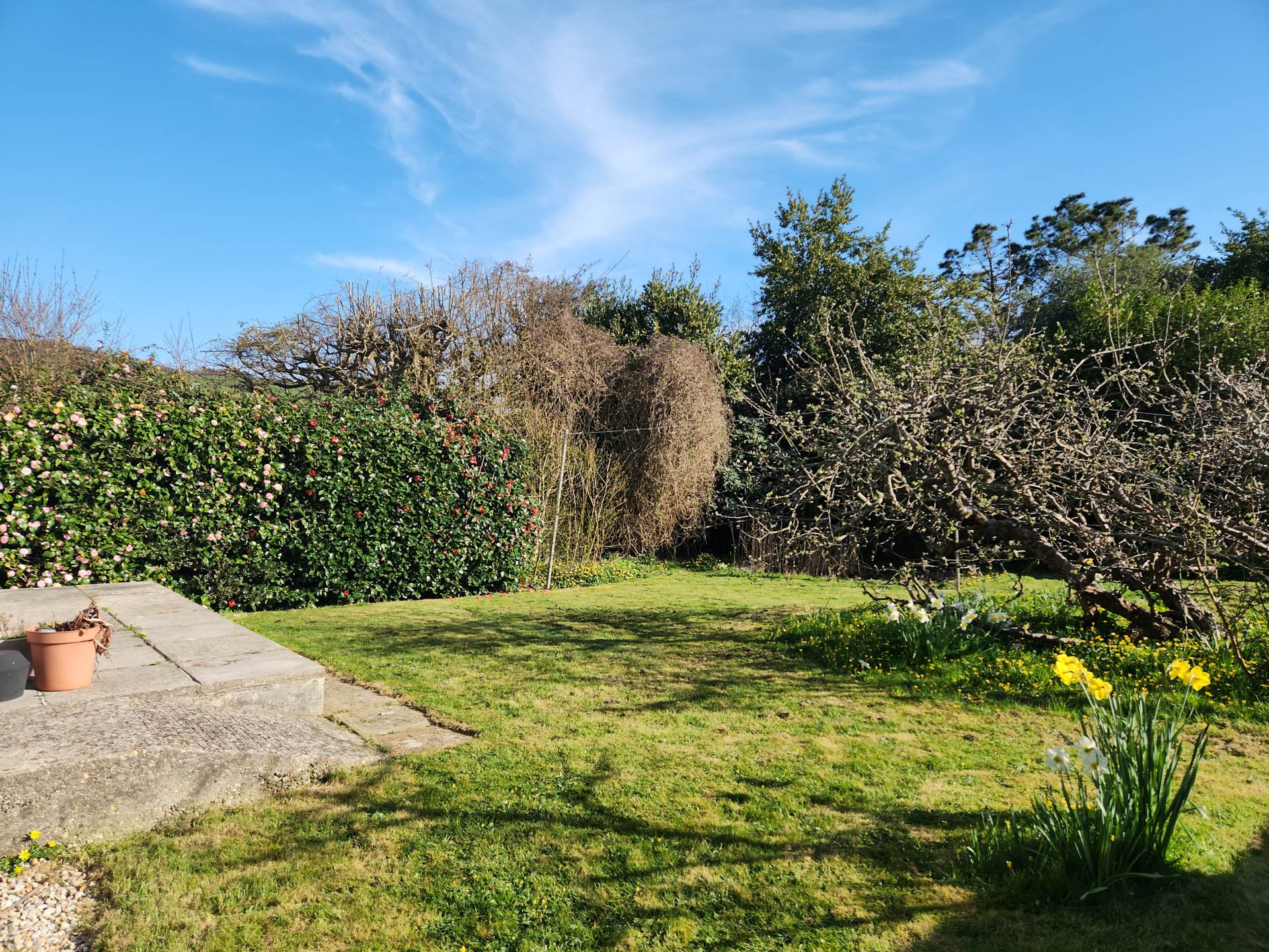 Meadow Way, Charmouth, Dorset, Image 18