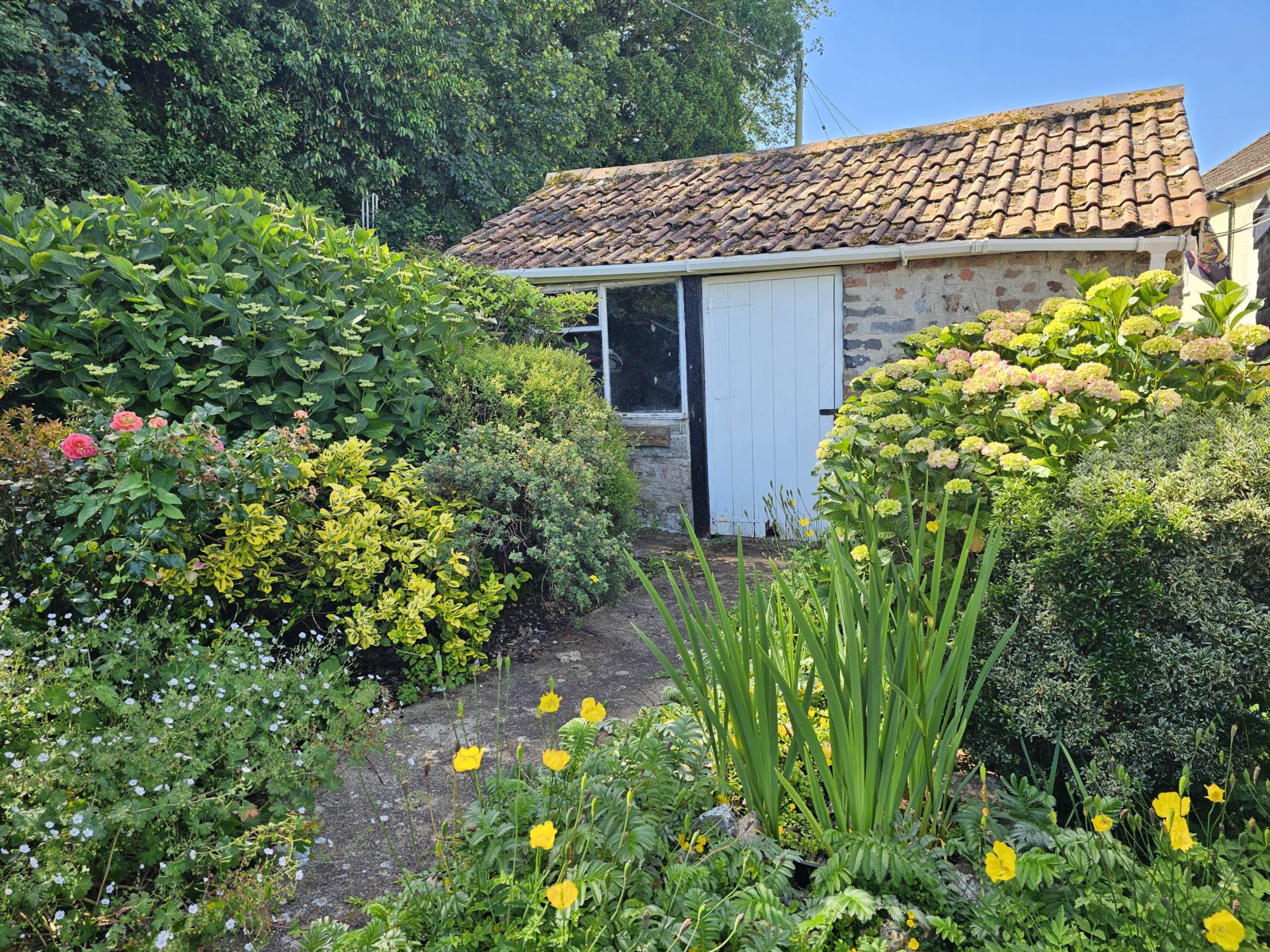Axminster Road, Musbury, Axminster, Image 23