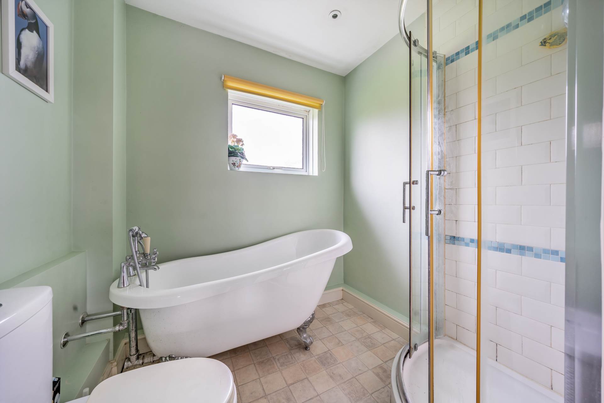 Chard Street, Thorncombe, Dorset, Image 13