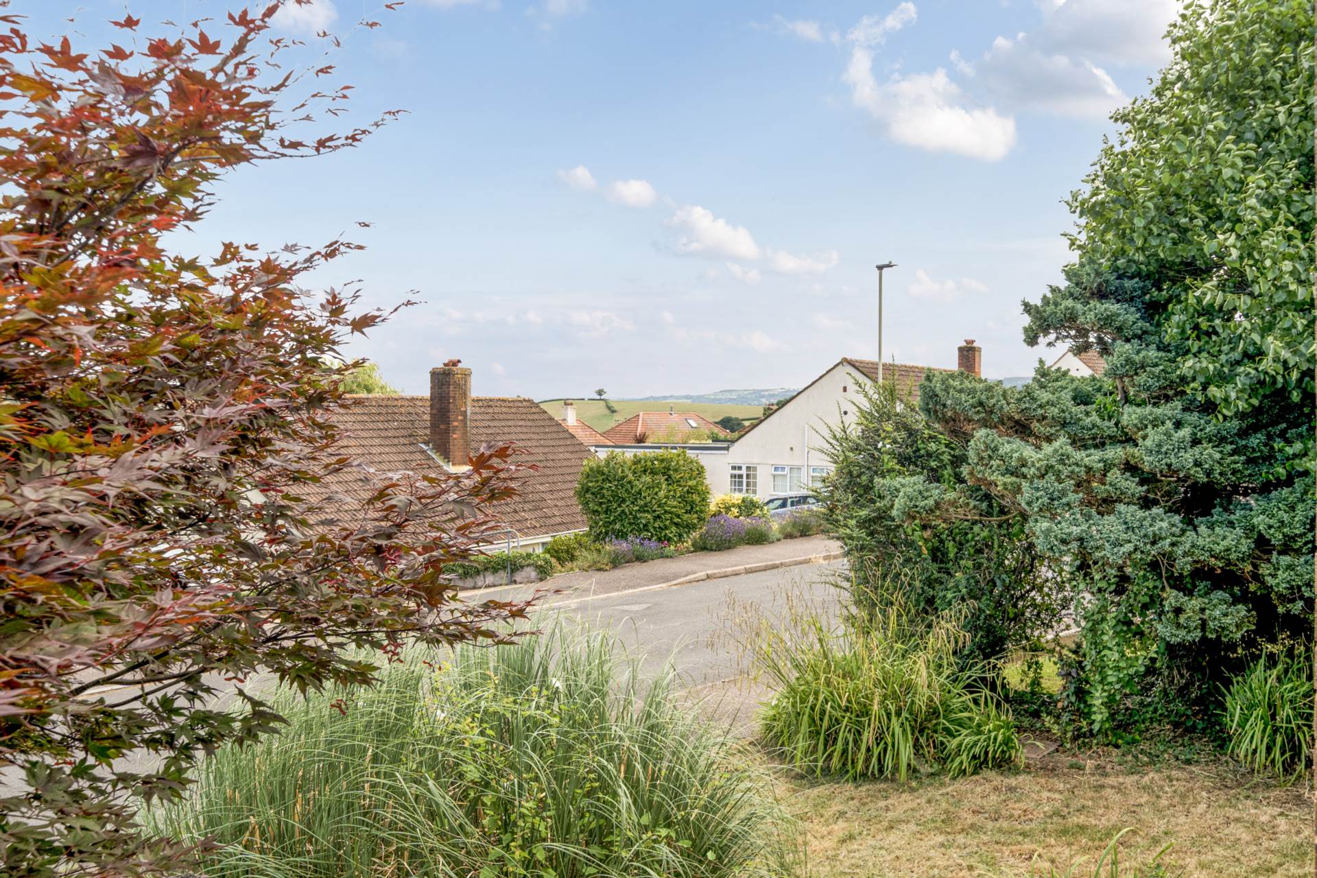 Burnards Field Road, Colyton. Devon, Image 20