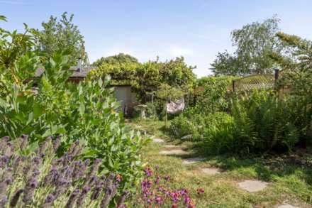 Elm Grove Terrace, Colyton, Devon, Image 22