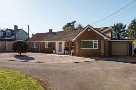 Green Lane, Raymond's Hill, Nr Axminster, Image 22