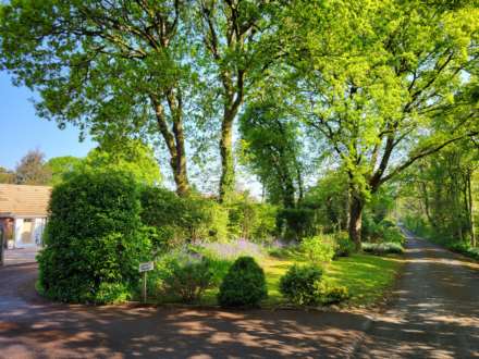 Green Lane, Raymond's Hill, Nr Axminster, Image 26