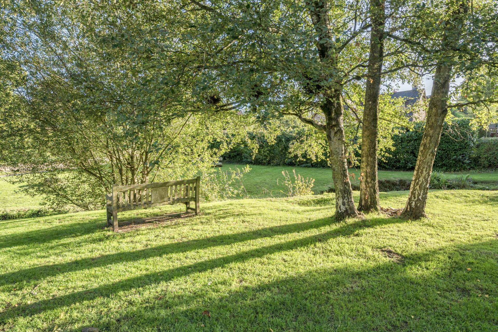 Gore Lane, Kilmington, Axminster, Image 20