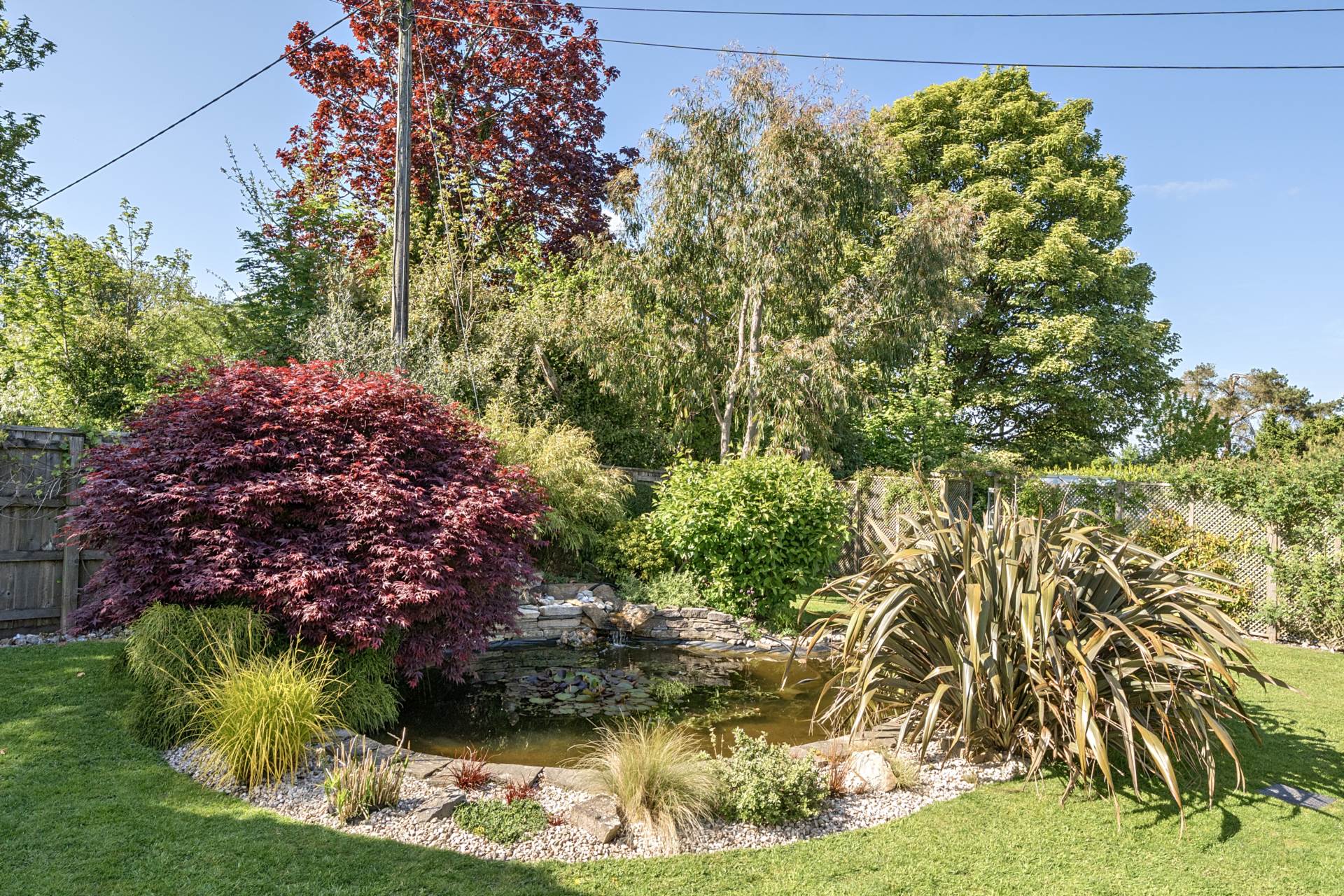 Green Lane, Raymonds Hill, Axminster, Image 21